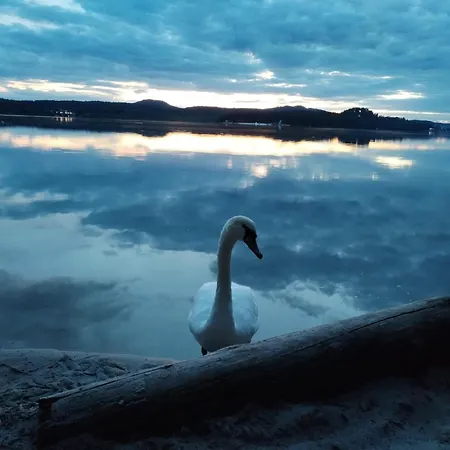 U Davida Máchovo Jezero