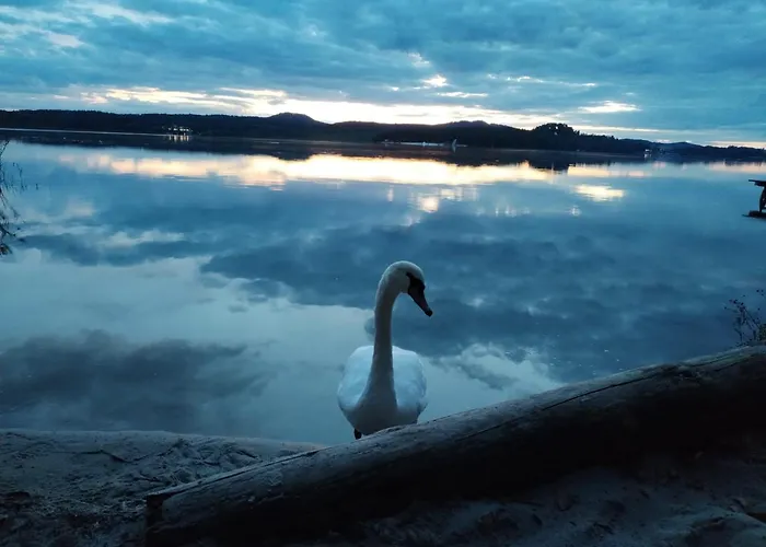 U Davida Machovo Jezero